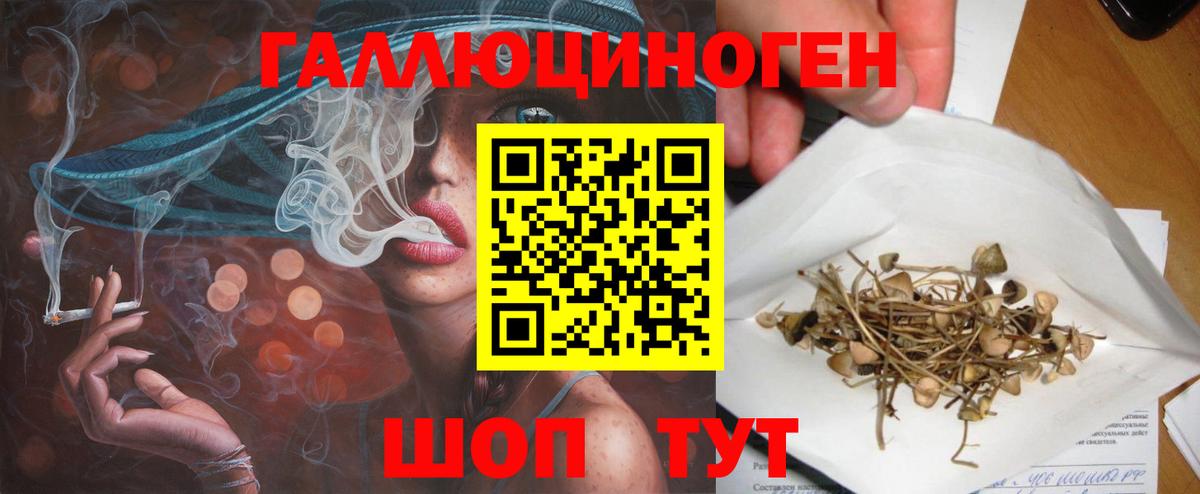 Черняховск  Галлюциногенные грибы Magic Shrooms  Галлюциногенные грибы MAGIC MUSHROOMS  Вход с VPN 